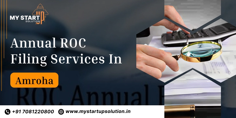 Annual ROC Filing Services in Amroha