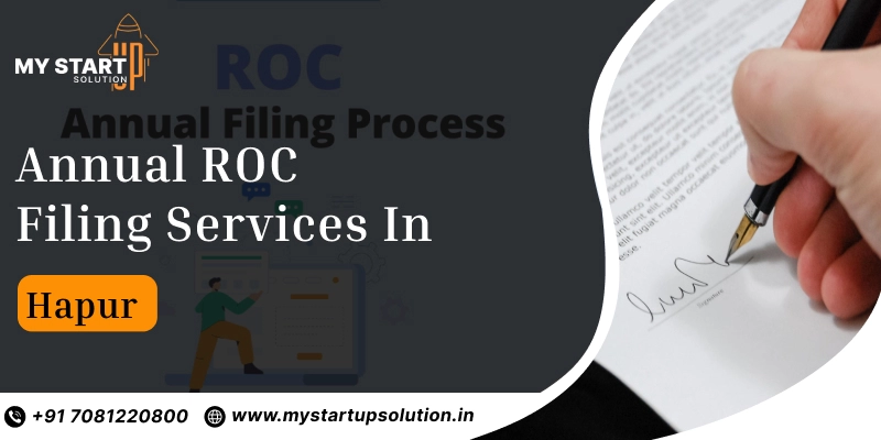 Annual ROC Filing Services in Hapur