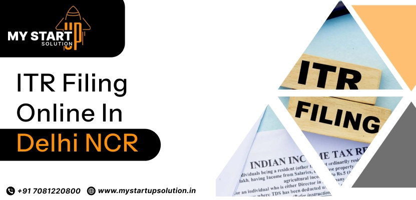 ITR Filing Online in Delhi NCR