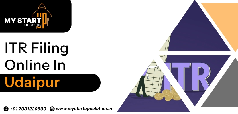 ITR Filing Online in Udaipur