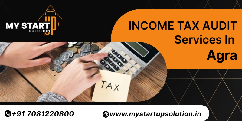 Income tax Audit services in Agra