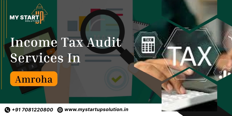 Income tax Audit services in Amroha