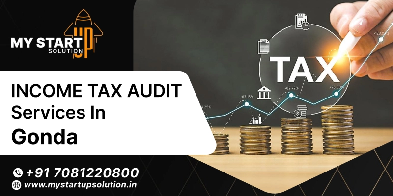 Income tax Audit services in Gonda