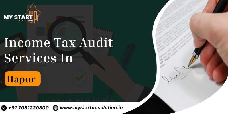 Income tax Audit services in Hapur