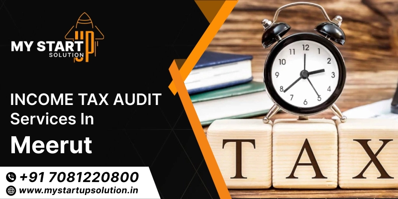 Income tax Audit services in Meerut