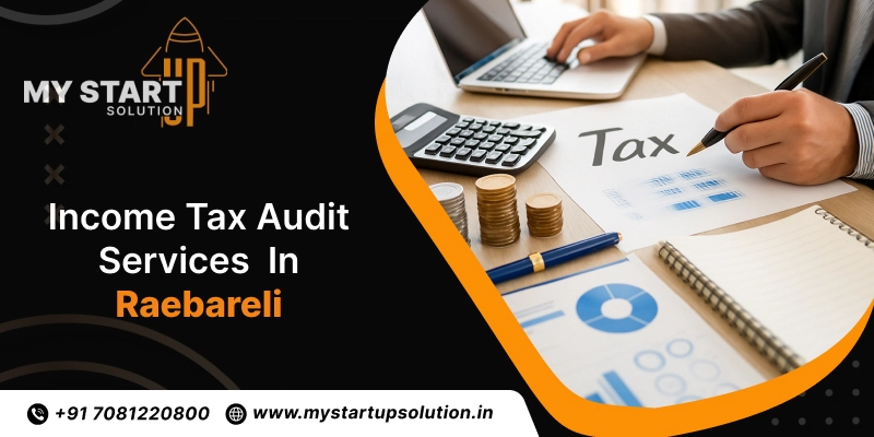 Income tax Audit services in Raebareli