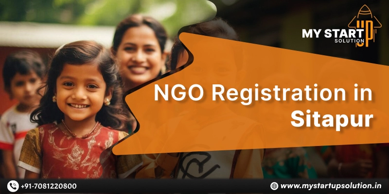 NGO Registration Services in Sitapur