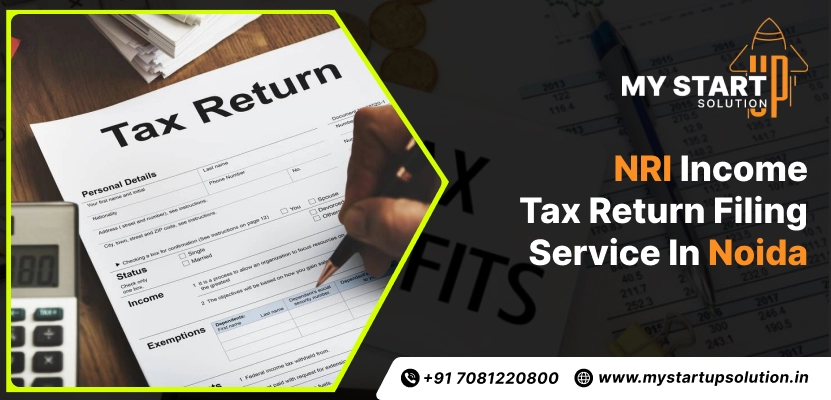 NRI ITR Filing Service in Noida