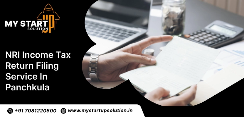 NRI ITR Filing Service in Panchkula