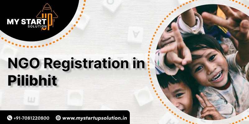 NGO Registration Services in Pilibhit